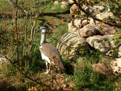 DSCN2496.JPG