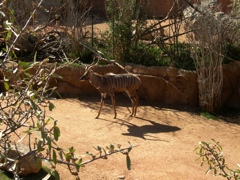 DSCN2506.JPG